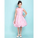 Ball Gown V-neck Knee-length Taffeta Junior Bridesmaid Dress