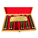 huang - (102x) archaïsering harmonica 6 toetsen pack/10 holes/20 tonen