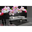 Sakura Blossom Contemporary Graphics Nature Mural
