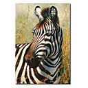 Printed Animal Zebra Canvas Art with Stretched Frame
