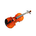 Violintine - (V21) 1/2 Professional-Grade Solid Spruce & 1-Piece Flame Maple Violin with Case/Bow
