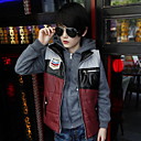 jongen charmante vest pak
