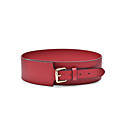 Chic Faux Leather Women's Fashion/Evening Belt (More Colors)