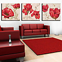 Stretched Canvas Print Botanical Floral Set of 3 1301-0170