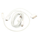 Micro USB Female to 30 Pin and 8 Pin Lightning Male Sync and Charge Adapter with USB Cable for iPhone 5 and iPad mini