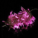 100-luz da corda decoração rosa levou casamento (10m, 220v)
