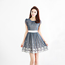 Frauen Chiffon Print-Kleid,