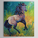 Mano Pintura Pintado Petróleo Animal Caballo 1304-AN0071