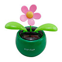 soldrevne flip flap blomst plante