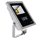 Lampe 10W 700-800LM 6000-6500K Natural White Light étanche LED Flood (85-265V)