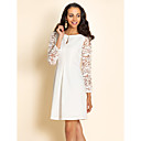 TS Slimplicity Embroidery Dress