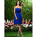 Sheath/Column Strapless Knee-length Chiffon Bridesmaid Dress