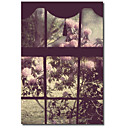 Impreso Lienzos La ventana de Mindy Sommers - Fotografía con marco Strethed